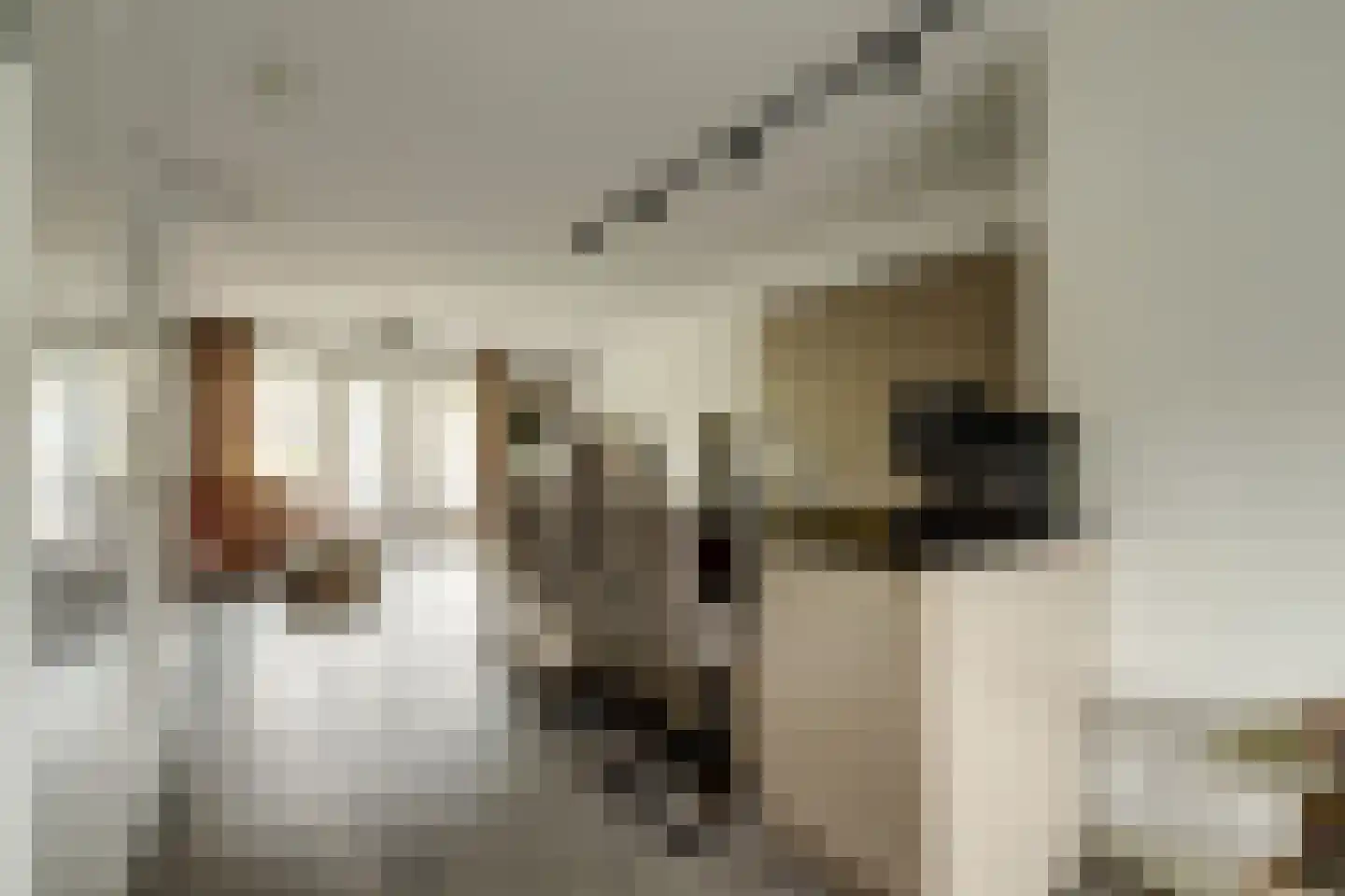 L. Wildschutstraat 91 Meteren thumbnail 14