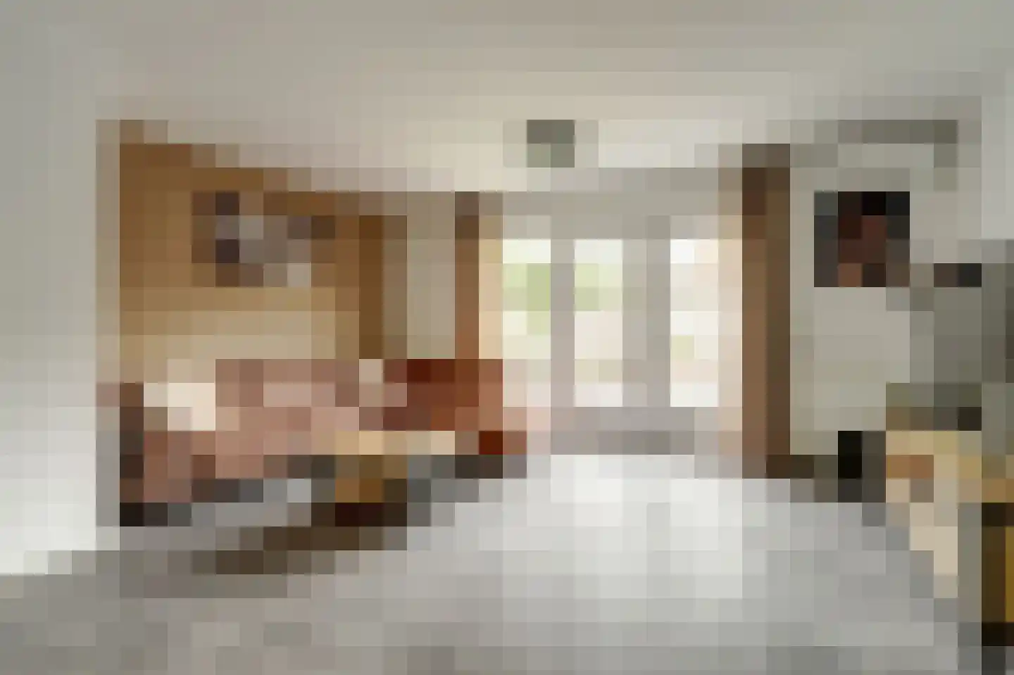 L. Wildschutstraat 91 Meteren thumbnail 15