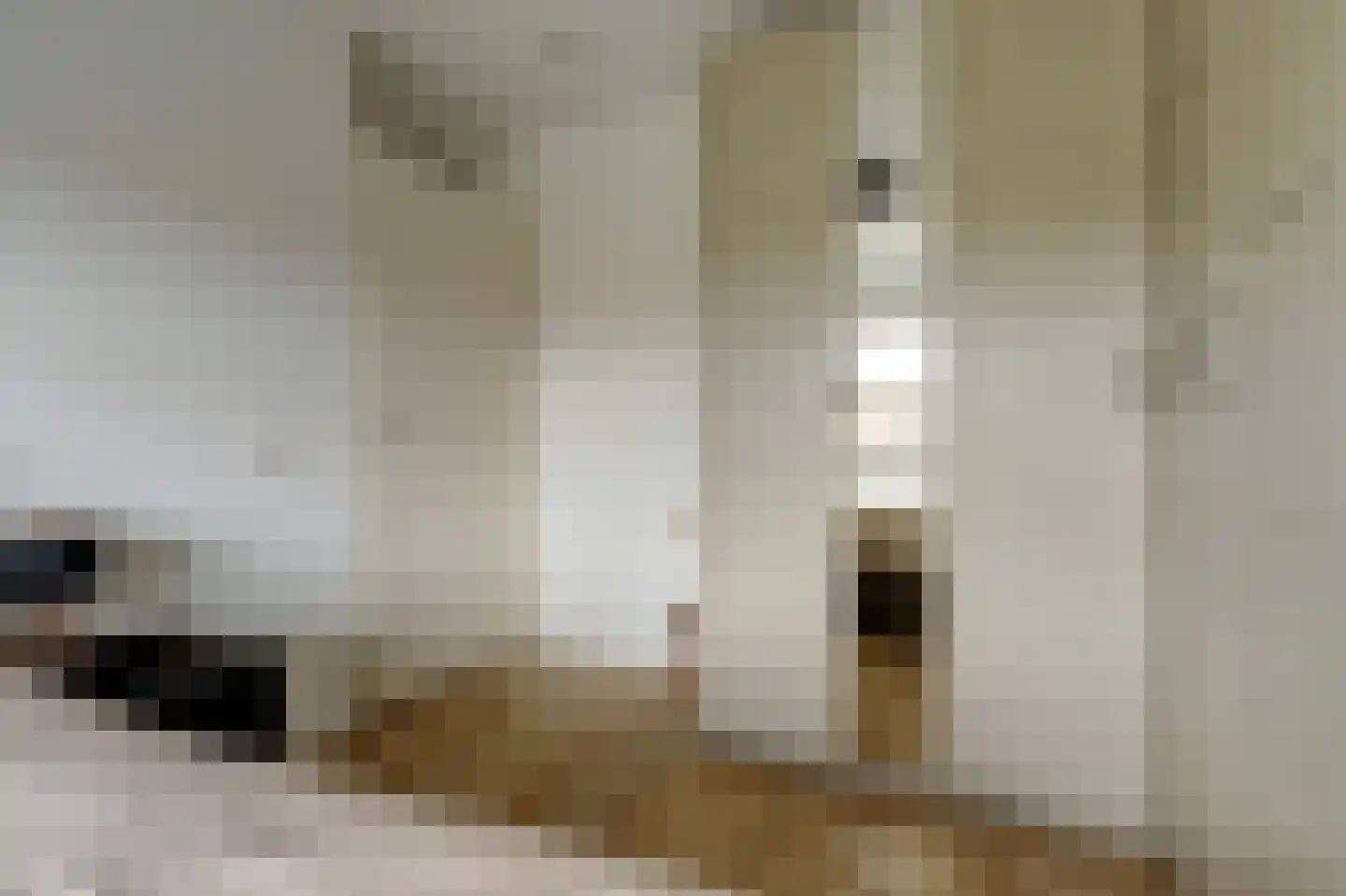 L. Wildschutstraat 91 Meteren thumbnail 22