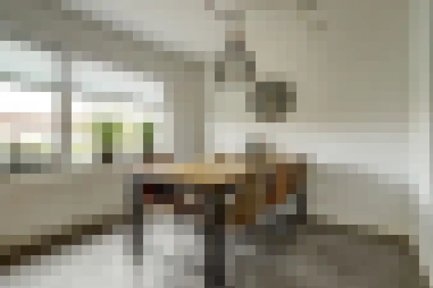 L. Wildschutstraat 91 Meteren thumbnail 8