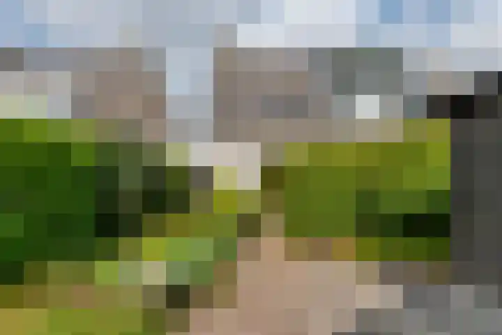 L. Wilkensstraat 7 Tiel thumbnail 31
