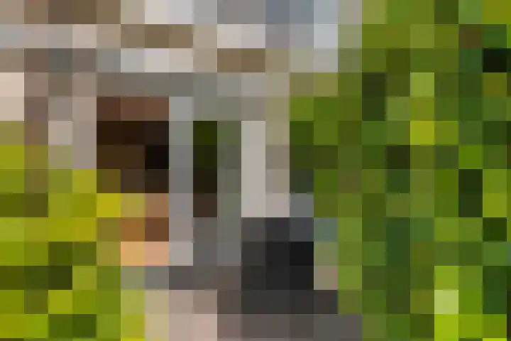 L. Wilkensstraat 7 Tiel thumbnail 32