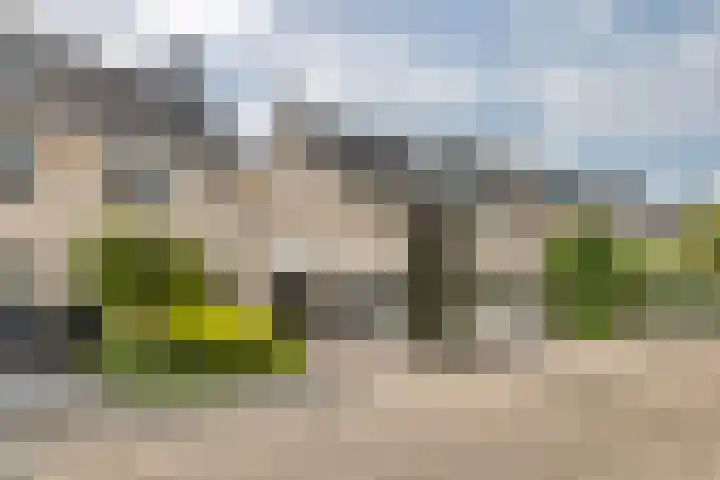 L. Wilkensstraat 7 Tiel thumbnail 36