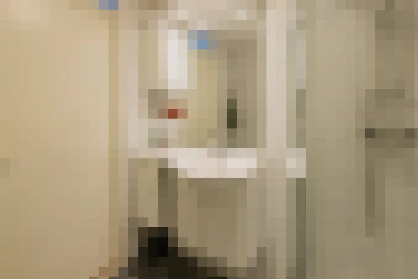 L. Zocherplantsoen 93 Velserbroek thumbnail 29