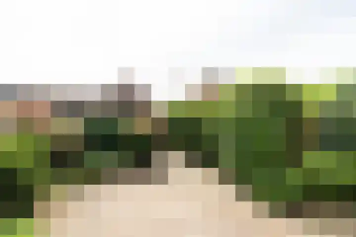 La Bohèmedreef 14 Utrecht thumbnail 22