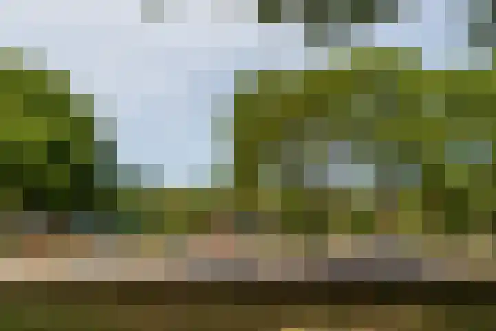 La Bohèmedreef 14 Utrecht thumbnail 24