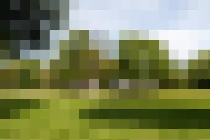 La Bohèmedreef 14 Utrecht thumbnail 25