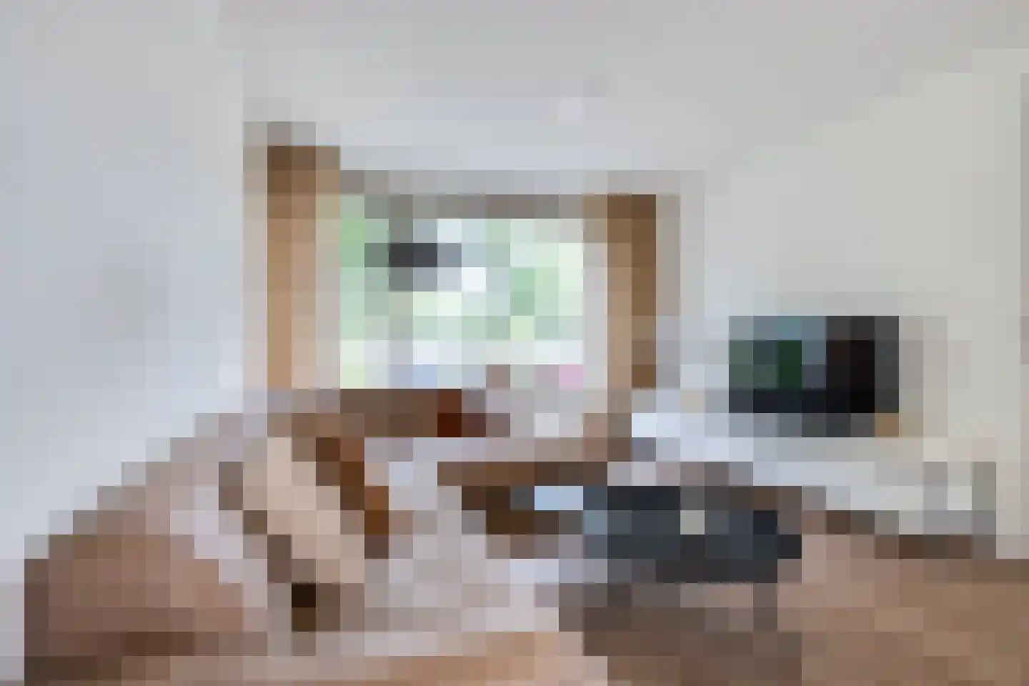 La Bohèmedreef 24 Utrecht thumbnail 11