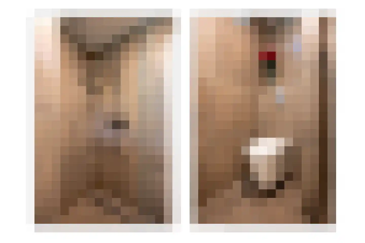 La Bohèmedreef 24 Utrecht thumbnail 56