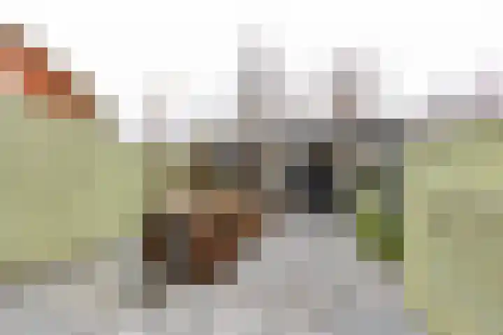 La Bohèmeplantsoen 21 Nieuw-Vennep thumbnail 10