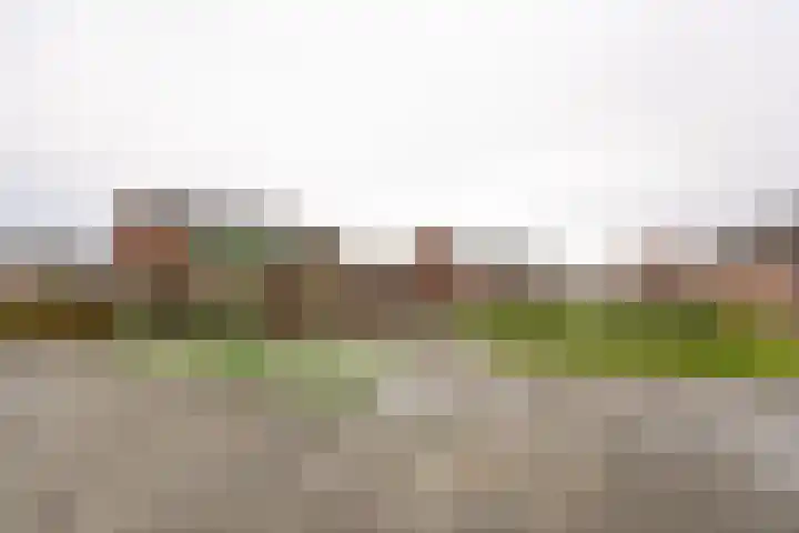 La Bohèmeplantsoen 21 Nieuw-Vennep thumbnail 23