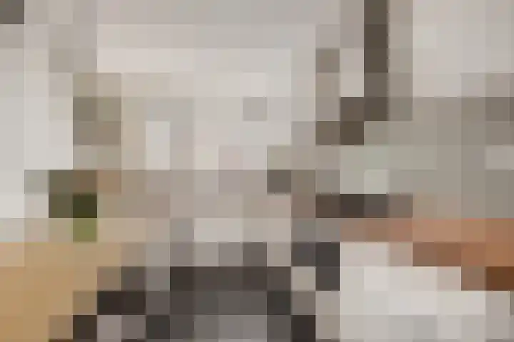 La Bohèmeplantsoen 21 Nieuw-Vennep thumbnail 6