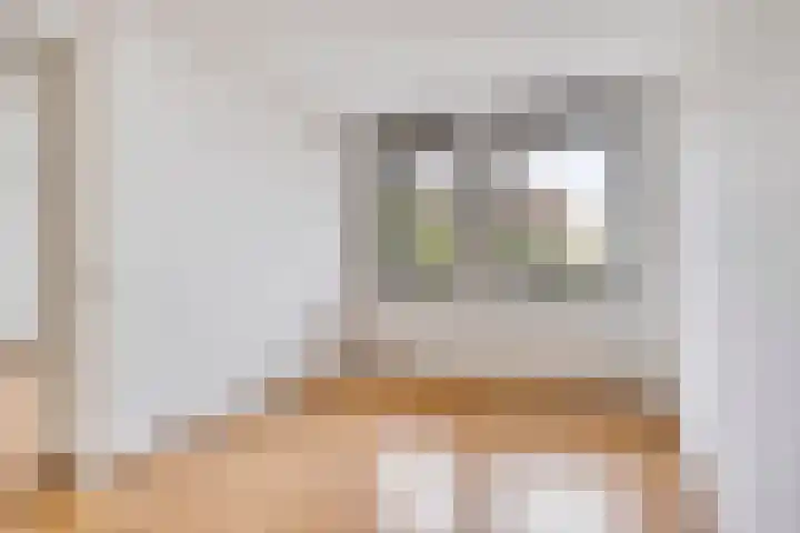 La Bonne Aventure 15 Roermond thumbnail 16