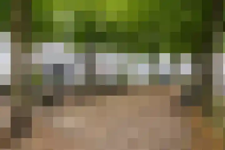 La Bonne Aventure 15 Roermond thumbnail 34