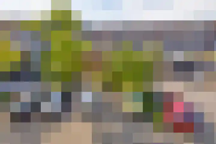 La Bonne Aventure 30 Roermond thumbnail 29