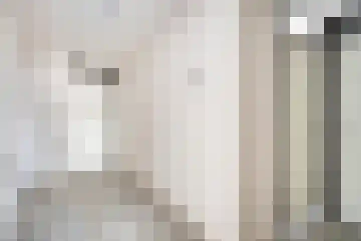 La Bonne Aventure 30 Roermond thumbnail 8