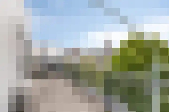 La Bonne Aventure 64 Roermond thumbnail 4