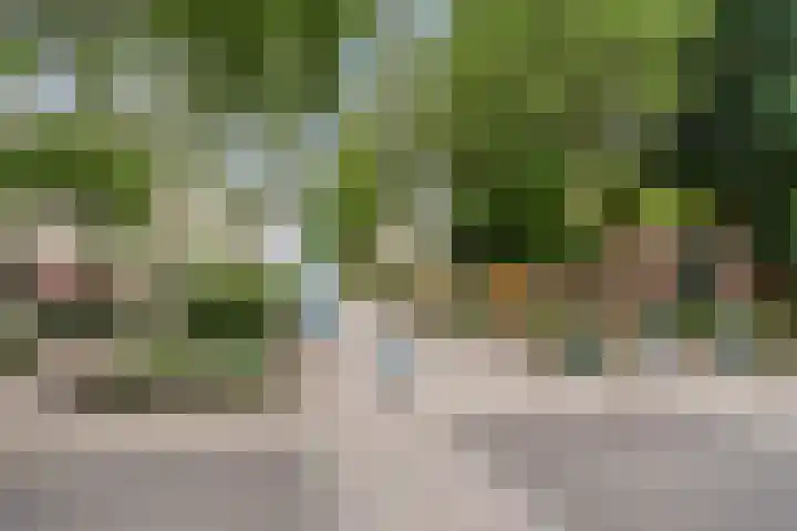 La Bonne Aventure 64 Roermond thumbnail 41