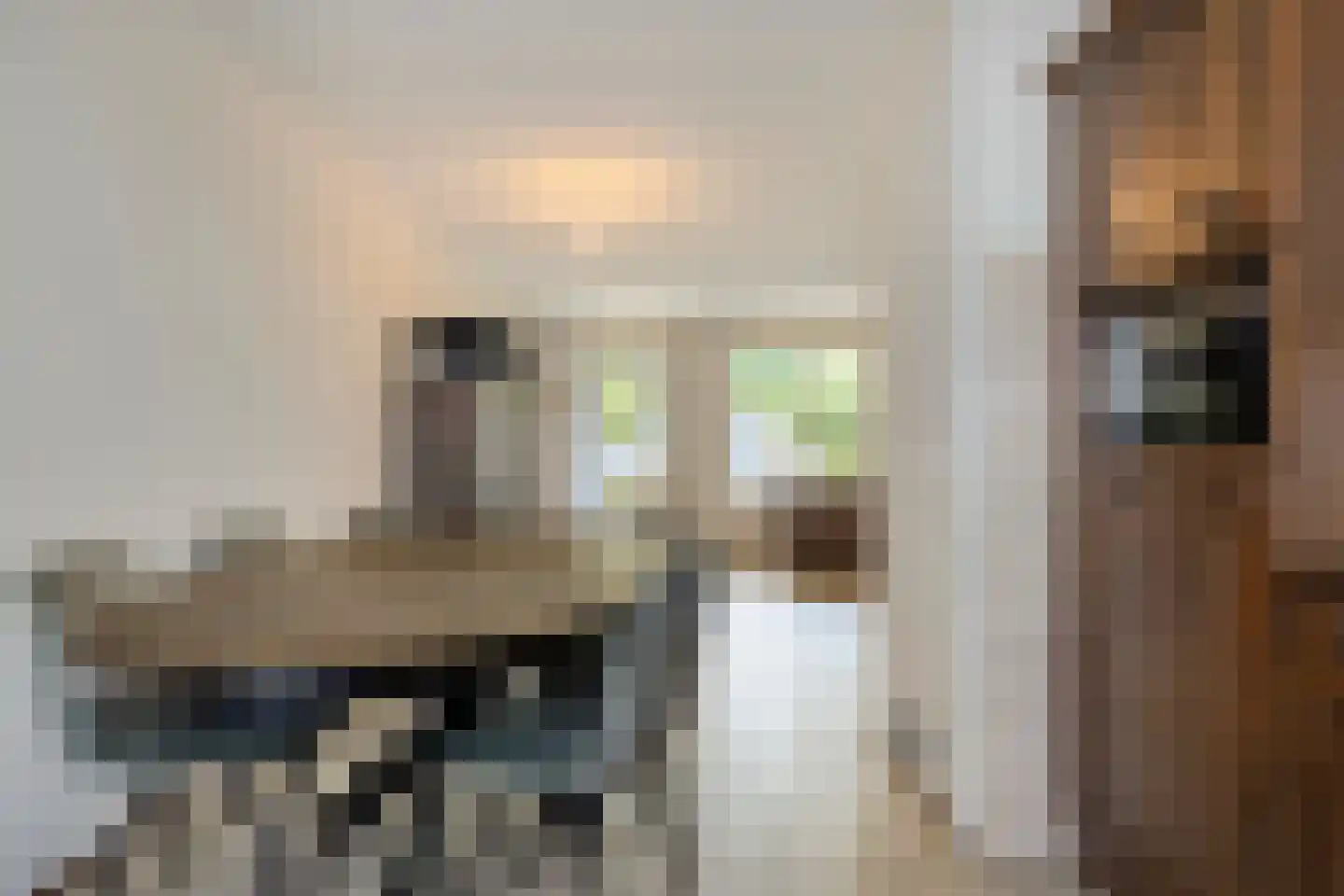 La Courtinehof 12 Eindhoven thumbnail 12