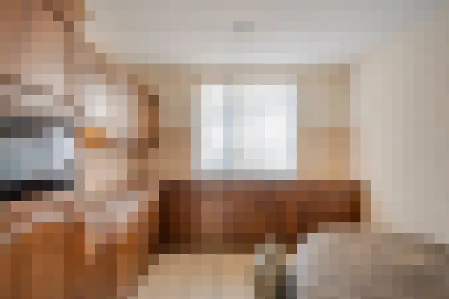 La Courtinehof 12 Eindhoven thumbnail 13