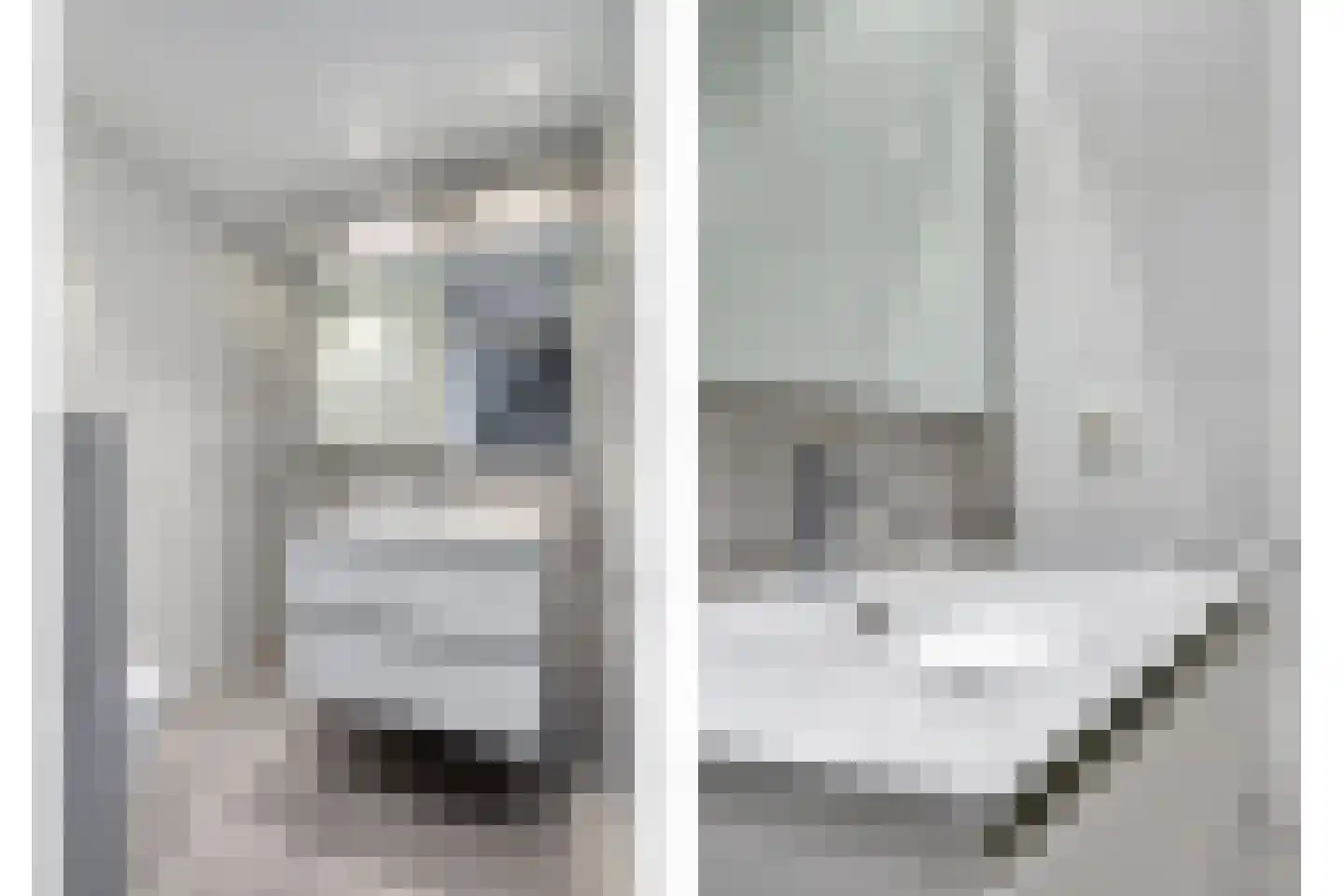 La Courtinehof 12 Eindhoven thumbnail 17