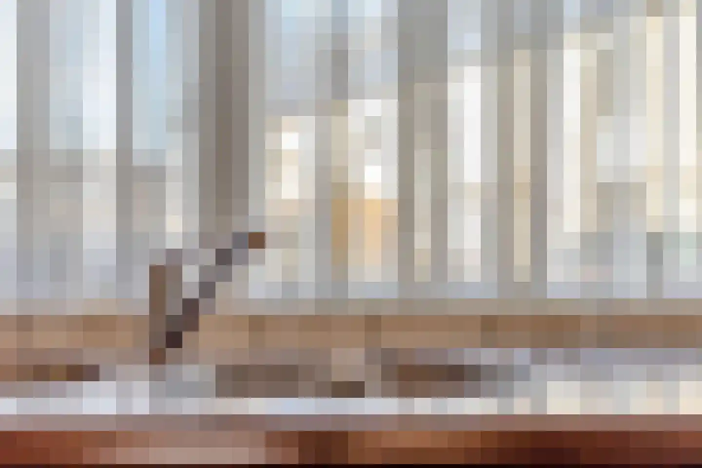 La Courtinehof 12 Eindhoven thumbnail 17
