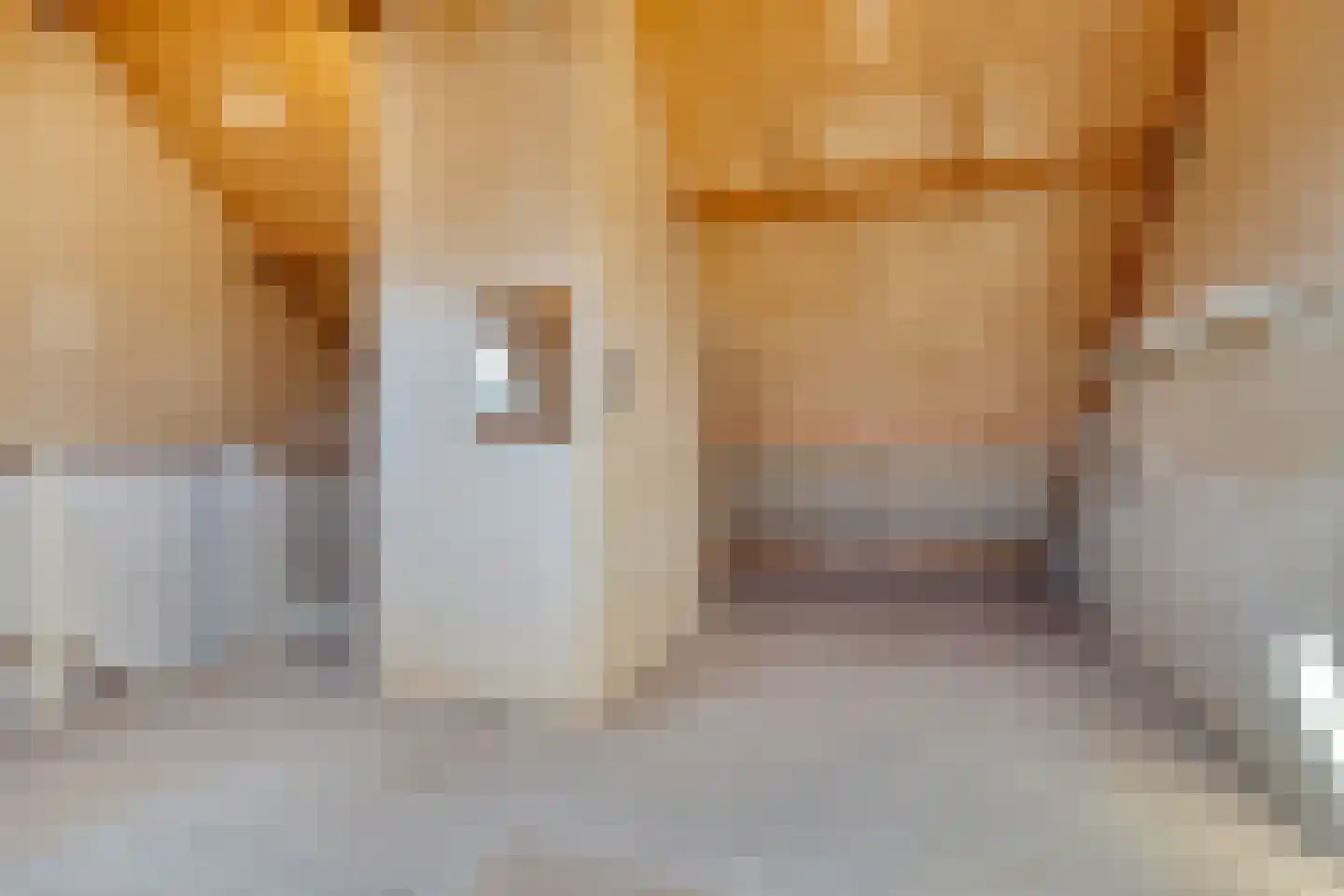 La Courtinehof 12 Eindhoven thumbnail 21