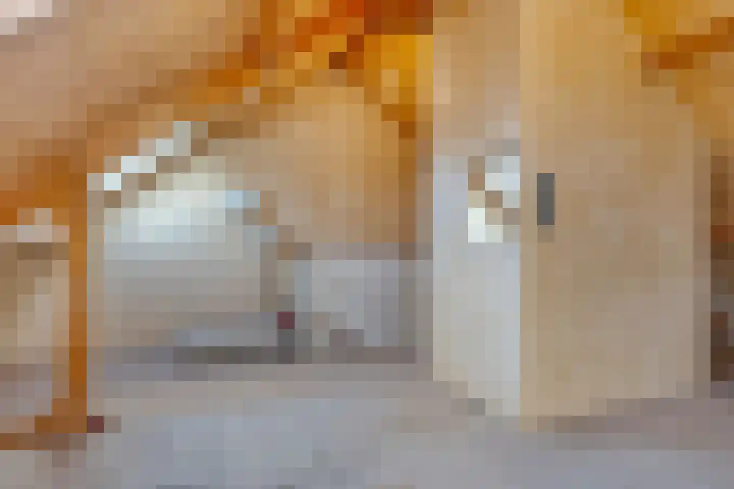 La Courtinehof 12 Eindhoven thumbnail 22