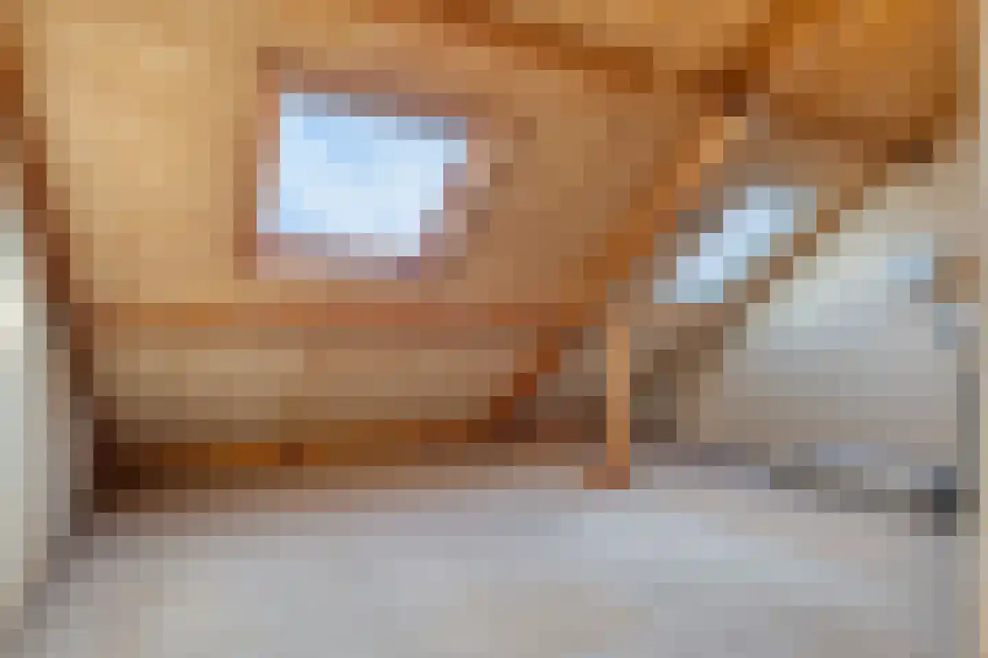 La Courtinehof 12 Eindhoven thumbnail 23