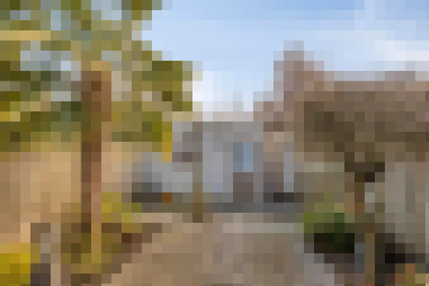 La Courtinehof 12 Eindhoven thumbnail 24