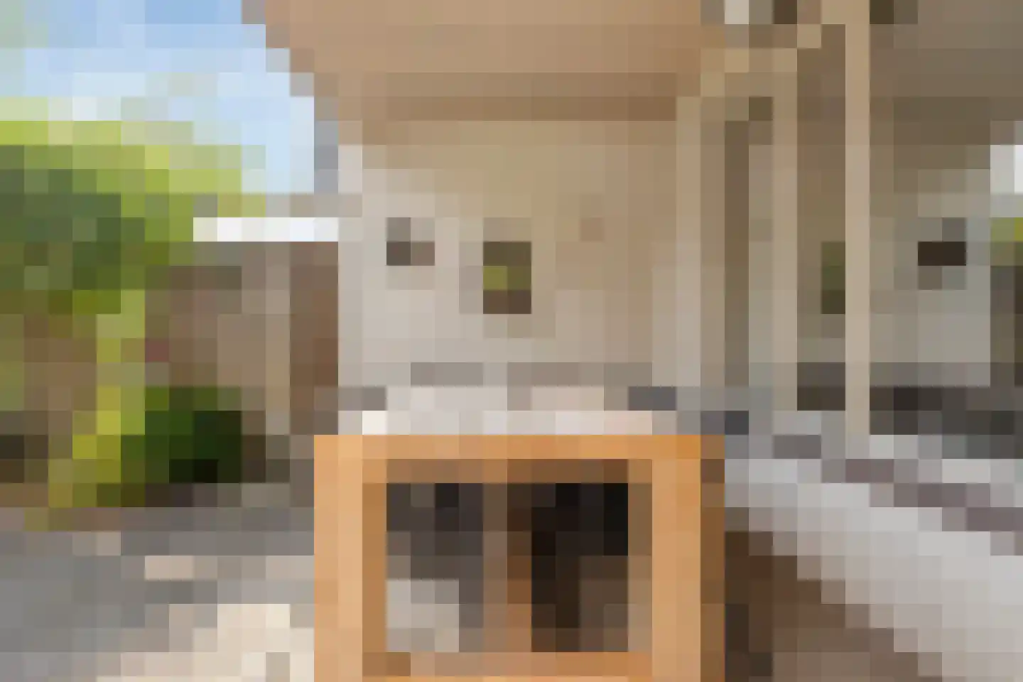 La Courtinehof 12 Eindhoven thumbnail 25