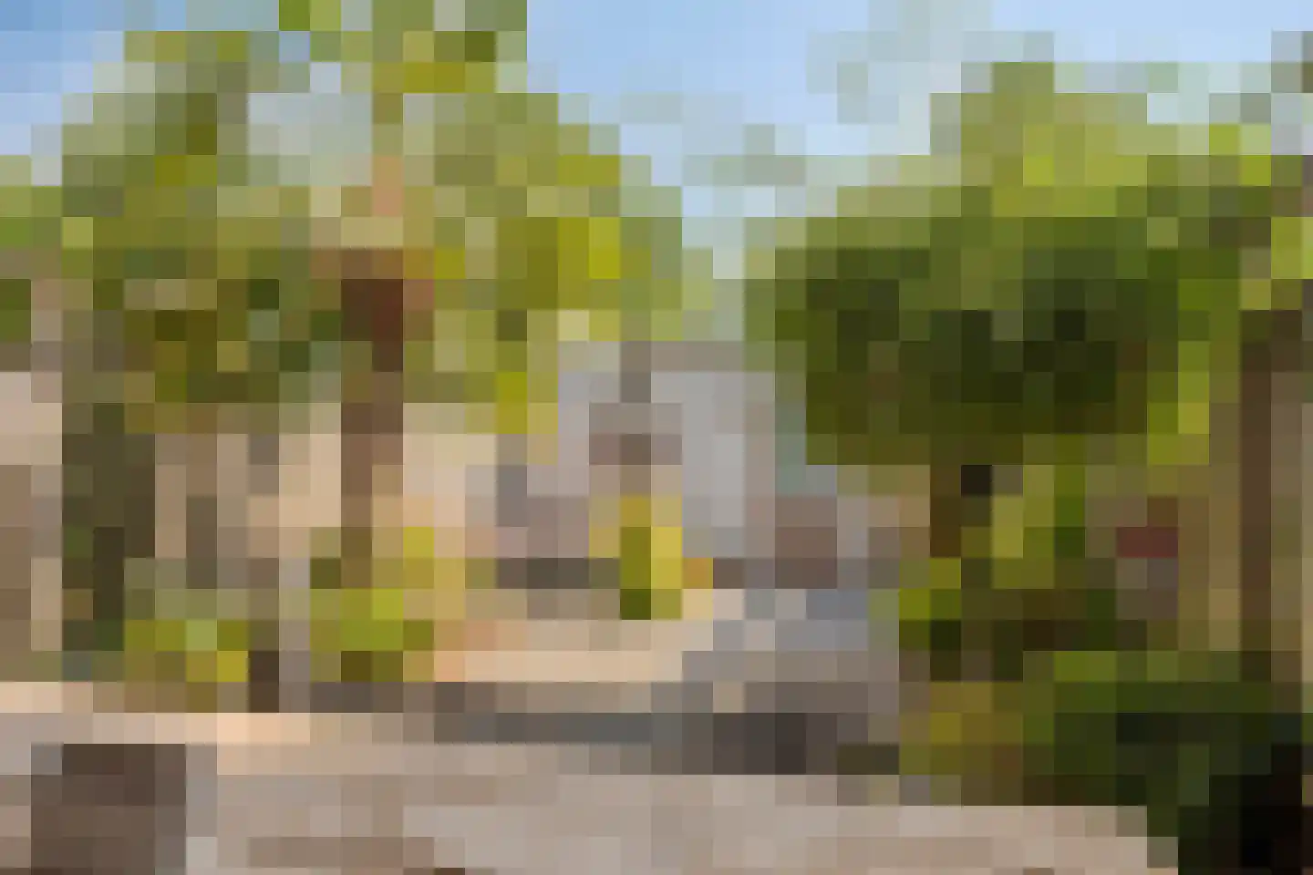 La Courtinehof 12 Eindhoven thumbnail 26