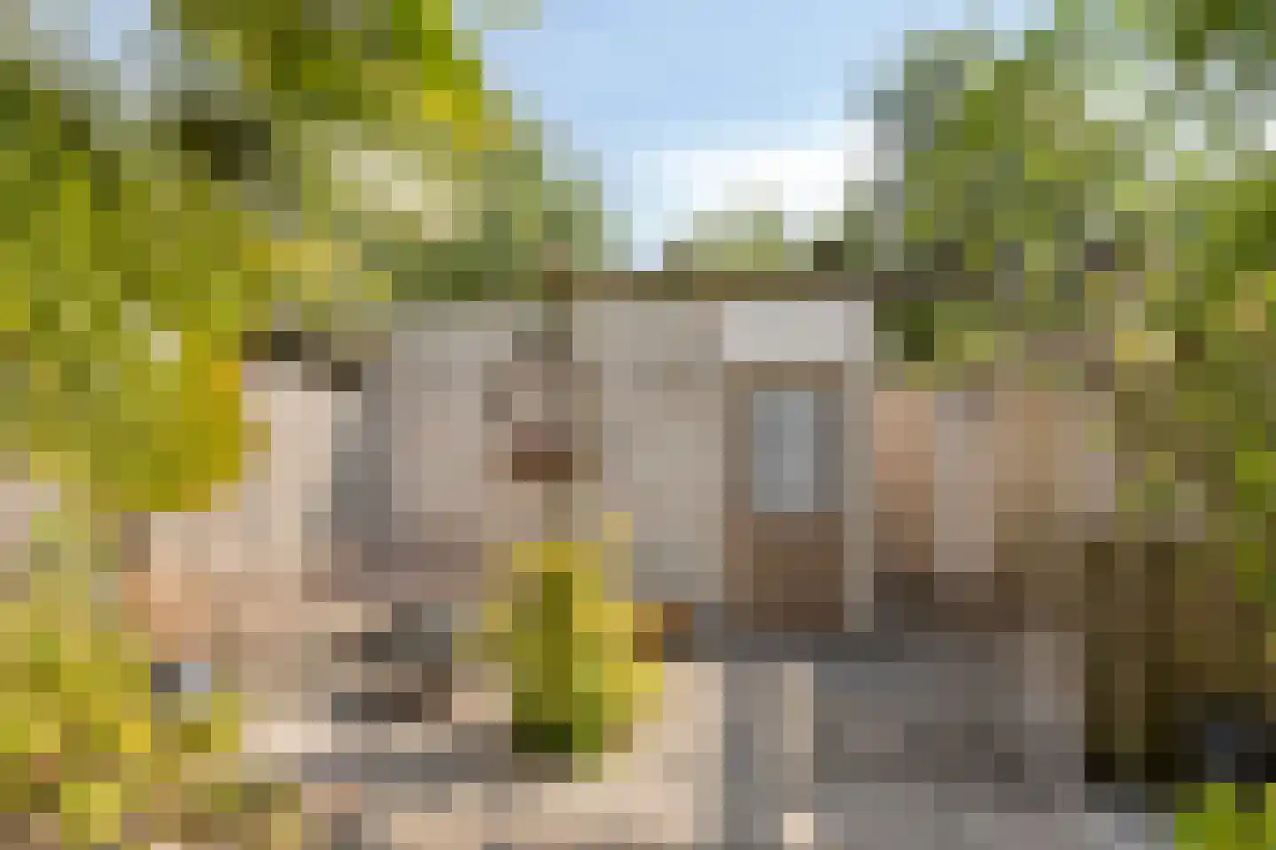 La Courtinehof 12 Eindhoven thumbnail 27