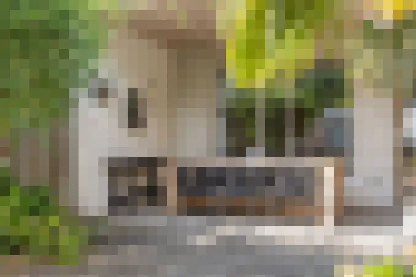 La Courtinehof 12 Eindhoven thumbnail 28