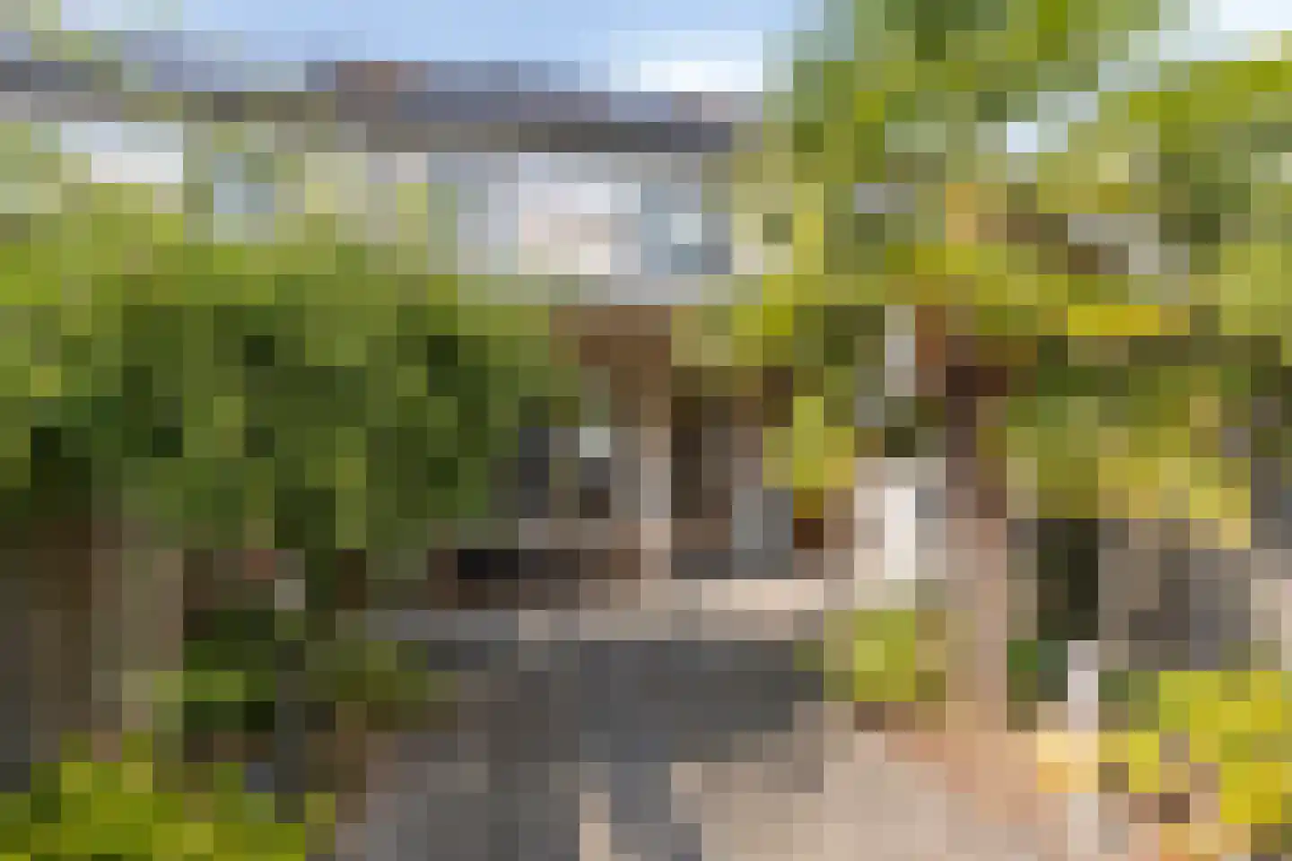 La Courtinehof 12 Eindhoven thumbnail 29