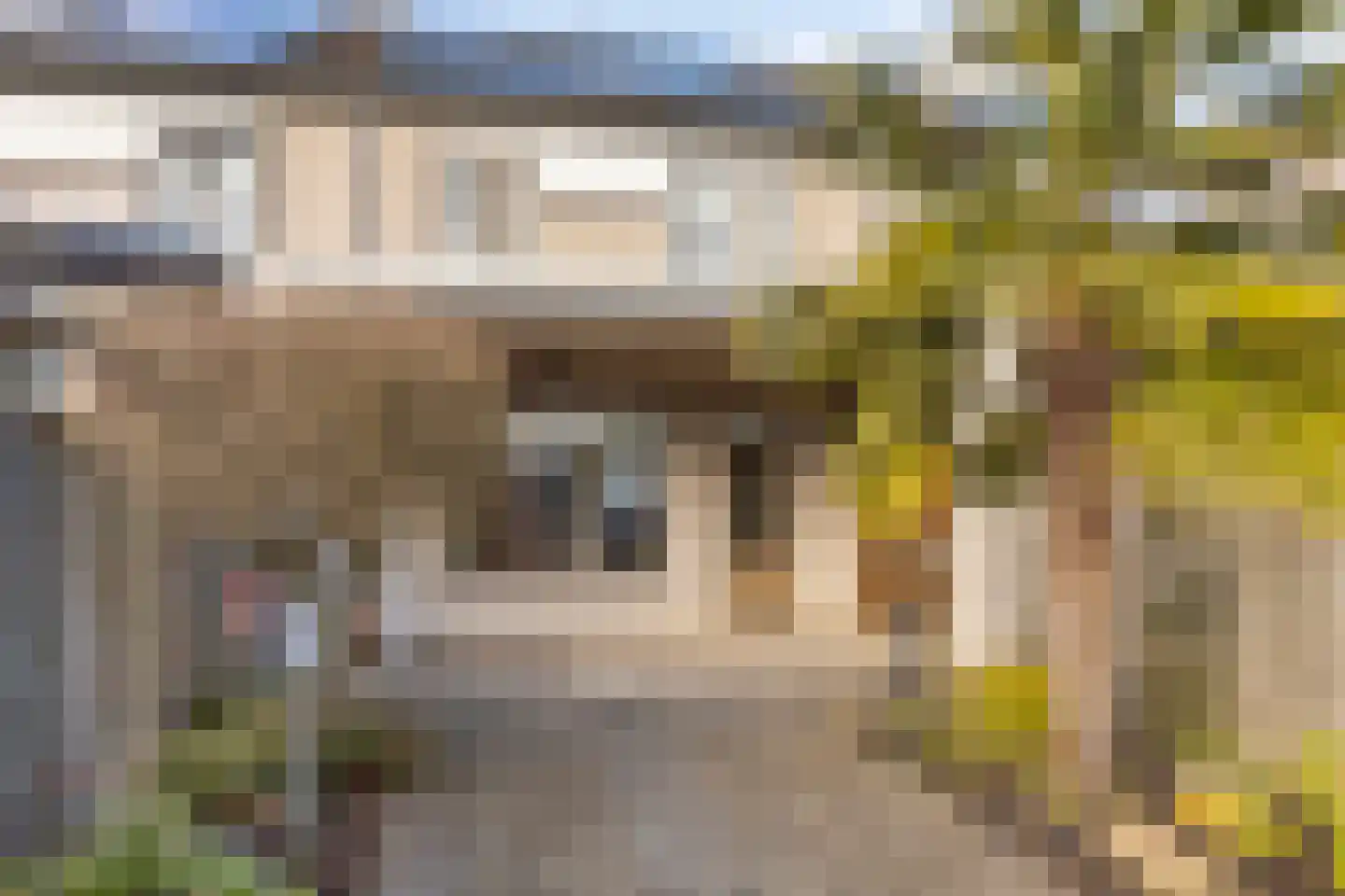 La Courtinehof 12 Eindhoven thumbnail 30
