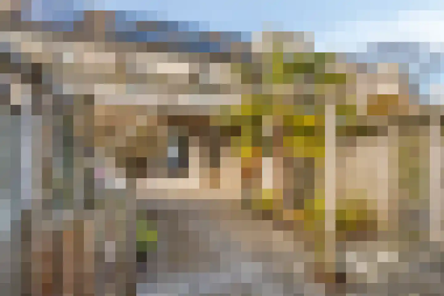 La Courtinehof 12 Eindhoven thumbnail 31