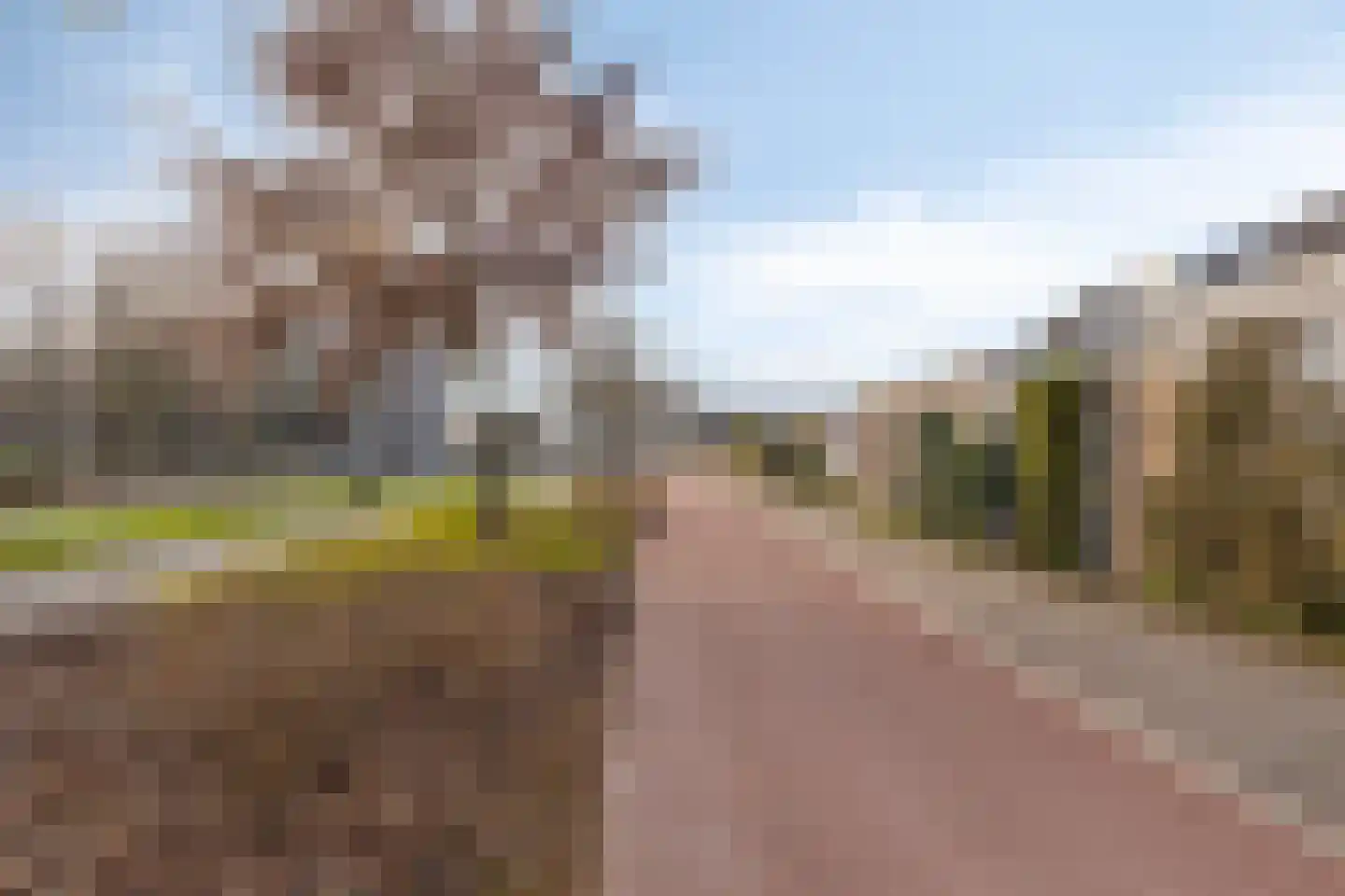 La Courtinehof 12 Eindhoven thumbnail 33