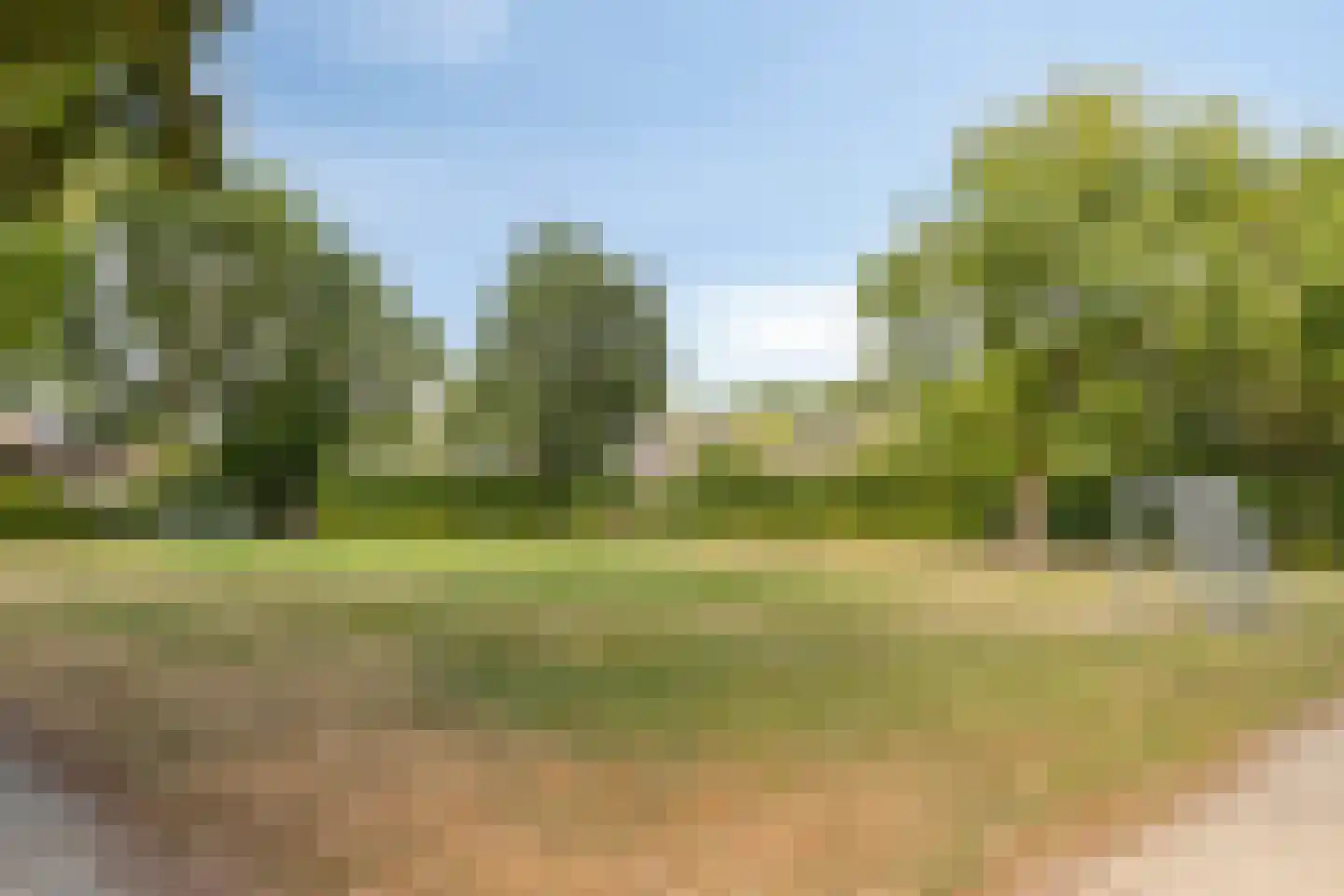 La Courtinehof 12 Eindhoven thumbnail 33