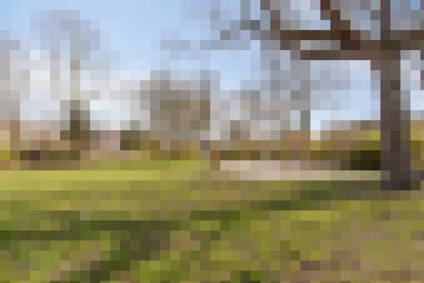 La Courtinehof 12 Eindhoven thumbnail 36