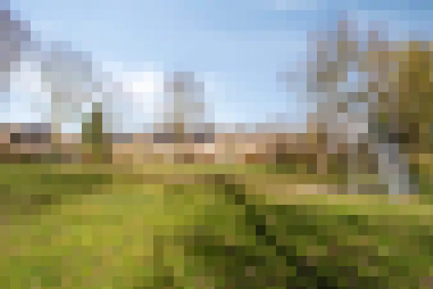 La Courtinehof 12 Eindhoven thumbnail 37