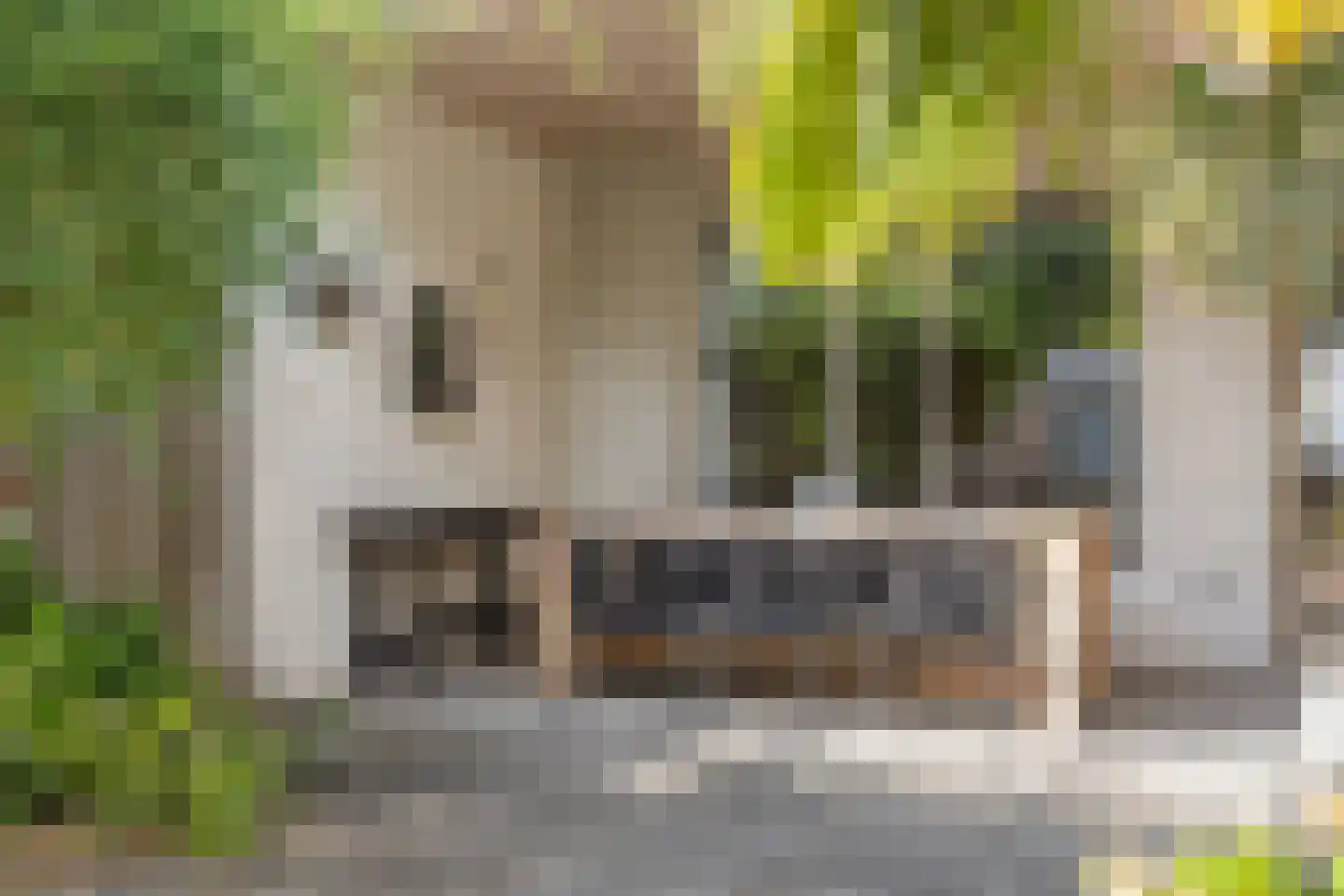 La Courtinehof 12 Eindhoven thumbnail 4