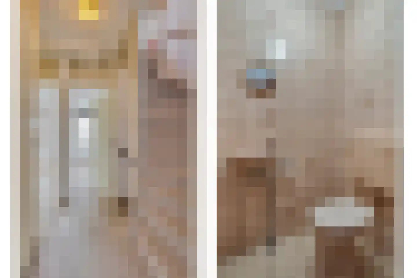 La Courtinehof 12 Eindhoven thumbnail 7