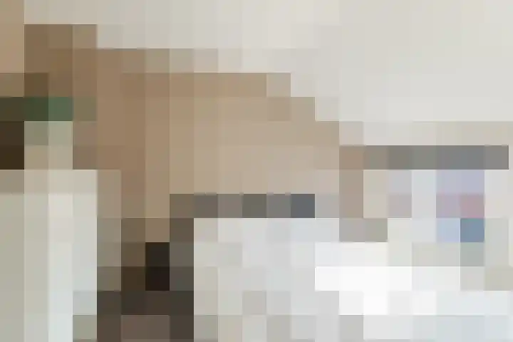 La Croixstraat 10 Utrecht thumbnail 37