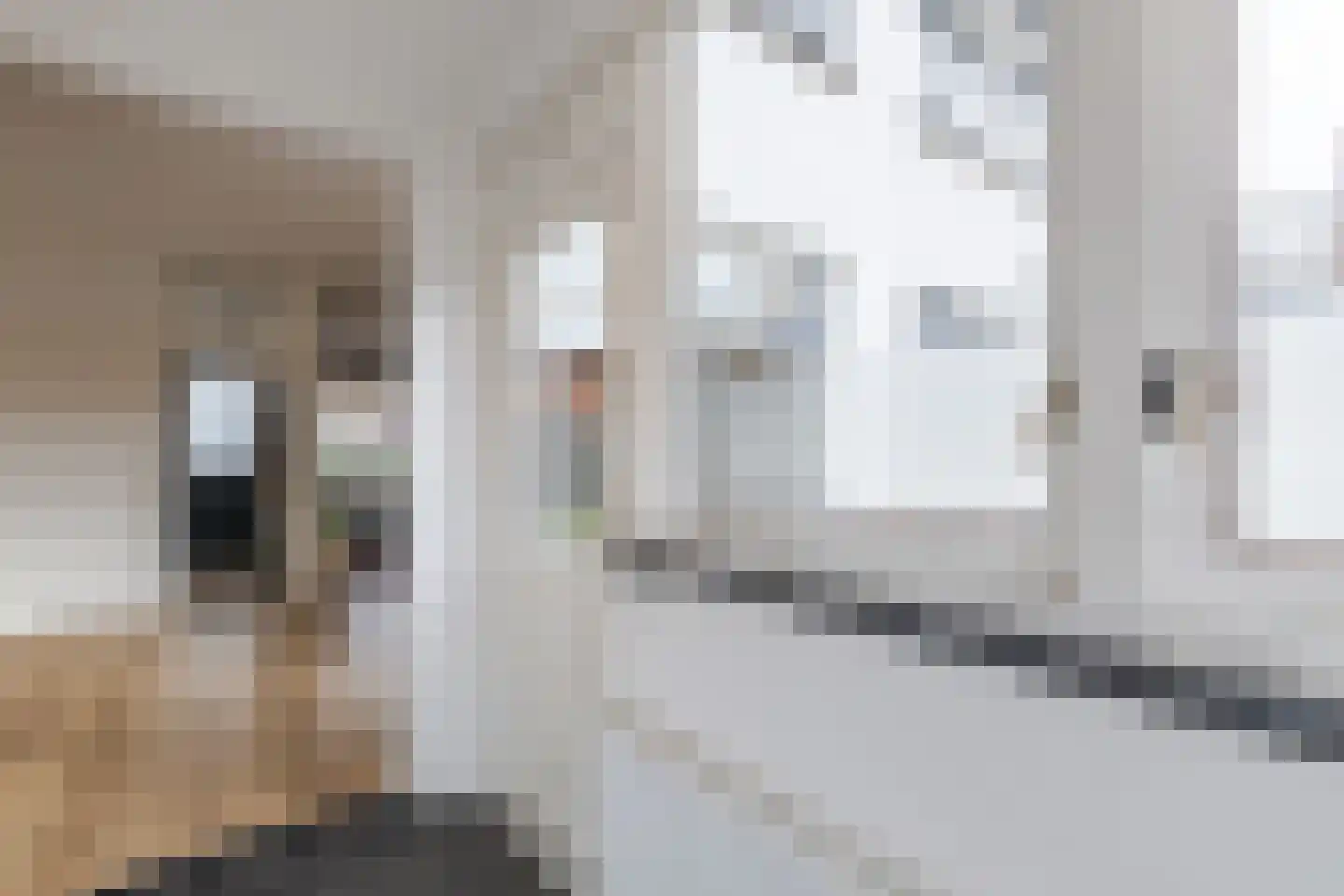 La Croixstraat 26 Utrecht thumbnail 15