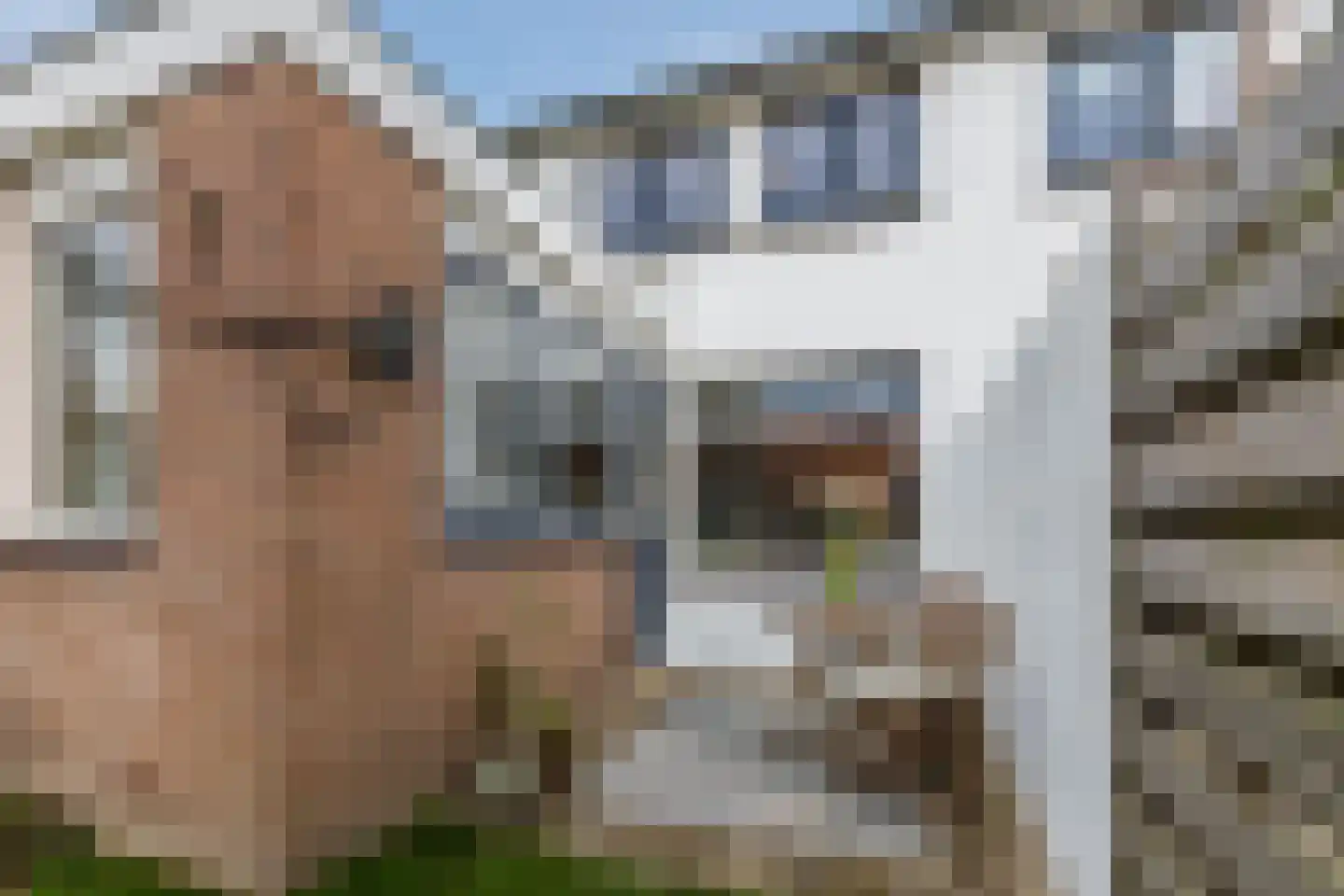 La Croixstraat 26 Utrecht thumbnail 26
