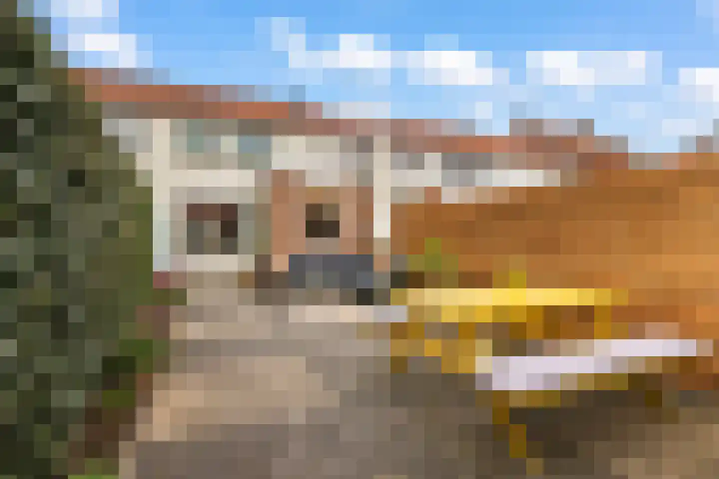La Croixstraat 8 Utrecht thumbnail 17