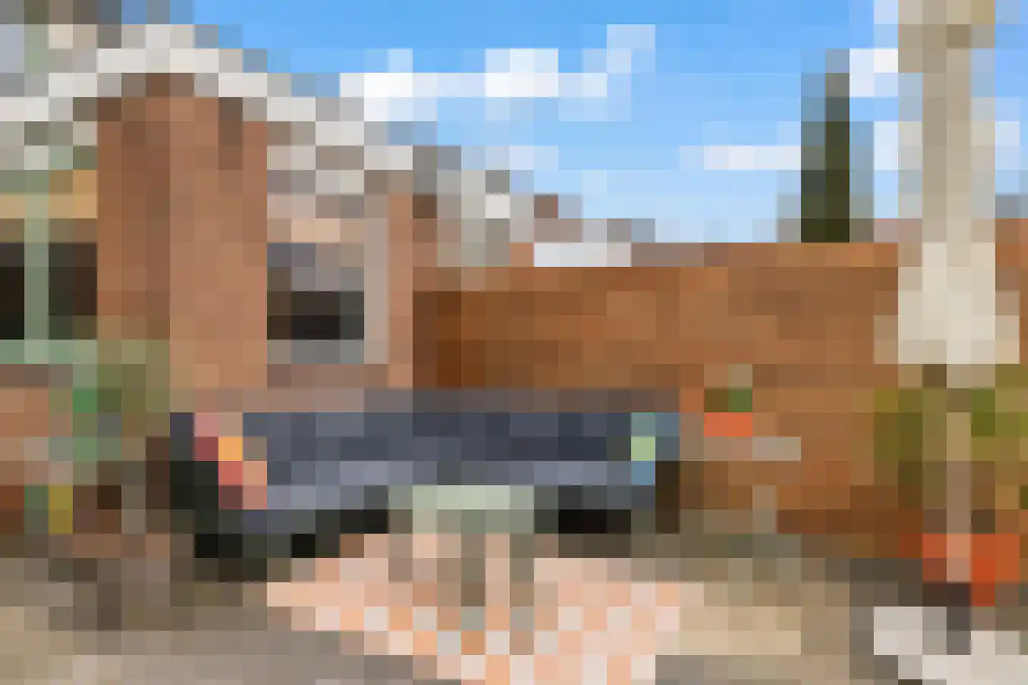 La Croixstraat 8 Utrecht thumbnail 19