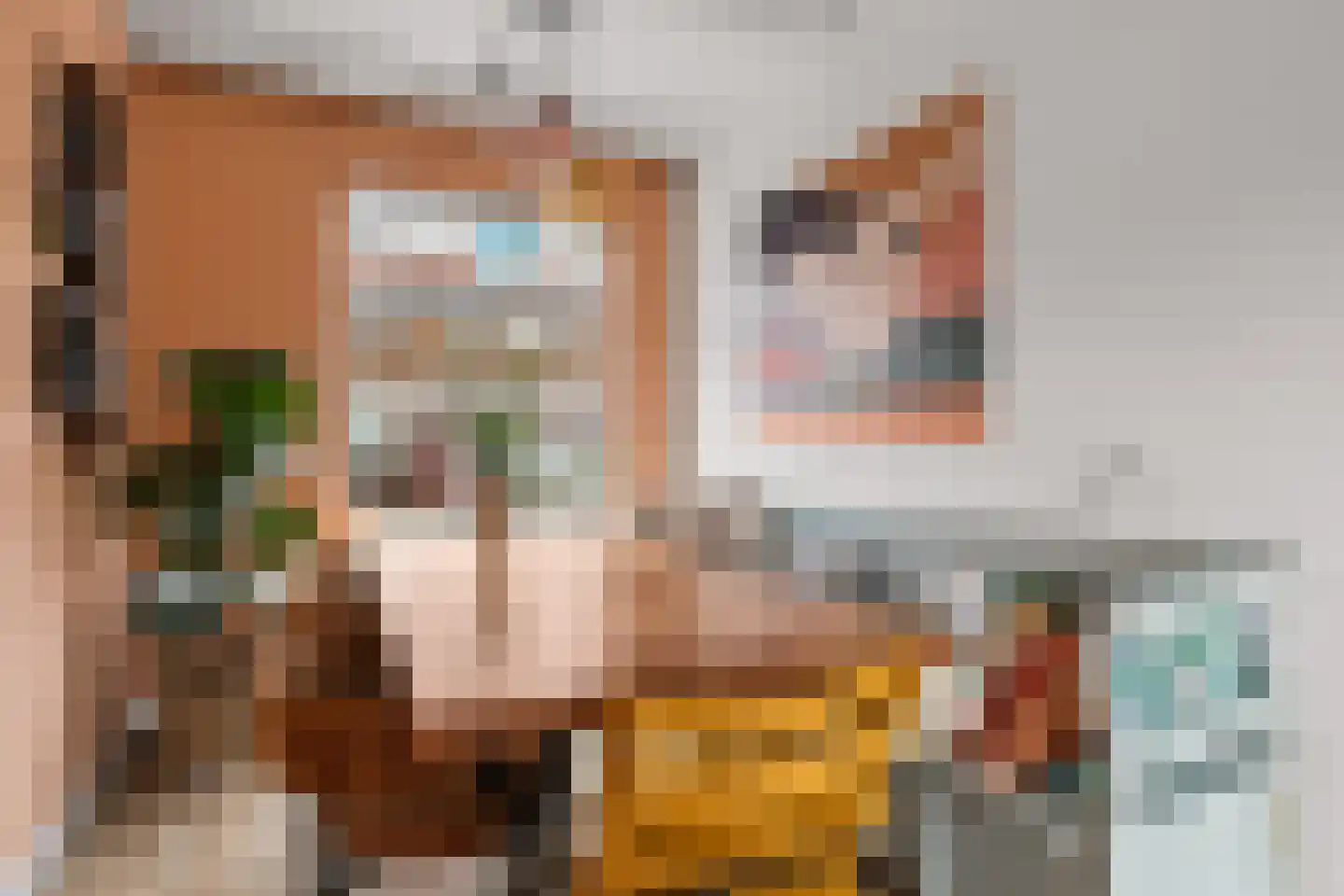 La Croixstraat 8 Utrecht thumbnail 6