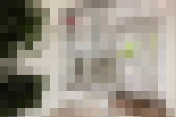 La Fontaineplein 6 Woerden thumbnail 4